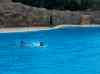 121.jpg - 2006:01:28 15:05:46