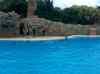 129.jpg - 2006:01:28 15:07:52