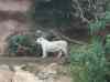 137.jpg - 2006:01:28 15:15:37