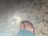 183.jpg - 2006:01:28 17:34:53