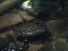 143.JPG - 2007:01:27 15:32:19