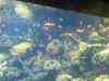 155.JPG - 2007:01:27 15:41:12