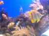 156.JPG - 2007:01:27 15:44:19