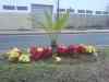 170.JPG - 2007:01:27 16:04:11