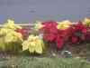 171.JPG - 2007:01:27 16:04:28