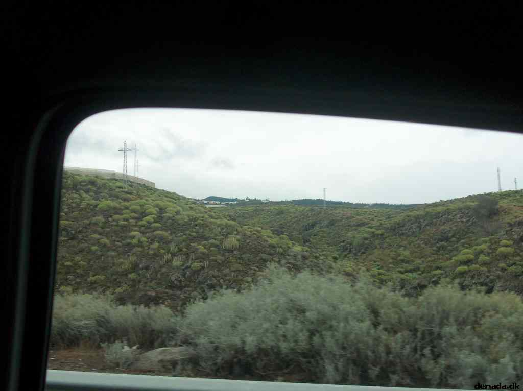 * Image 8