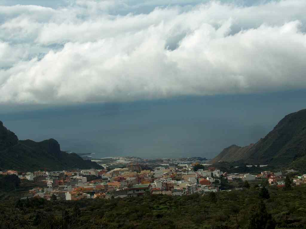 * Image 19
