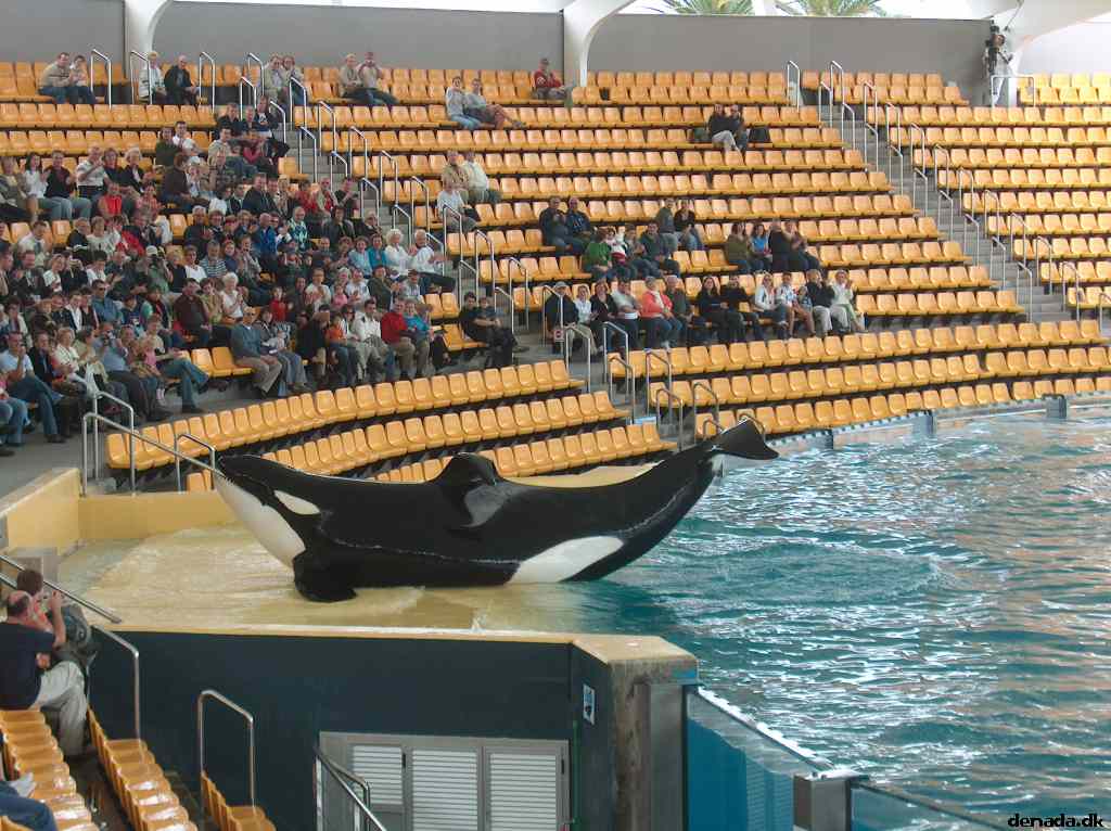 * Image 66