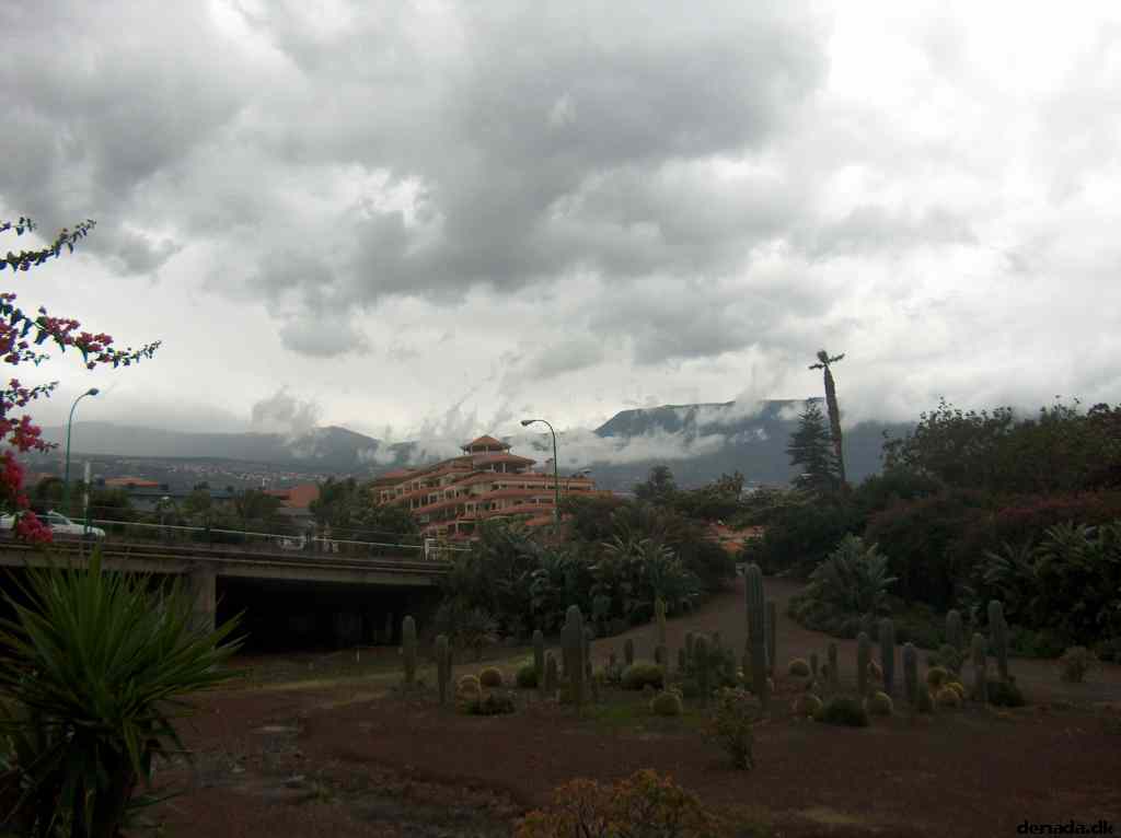 * Image 173