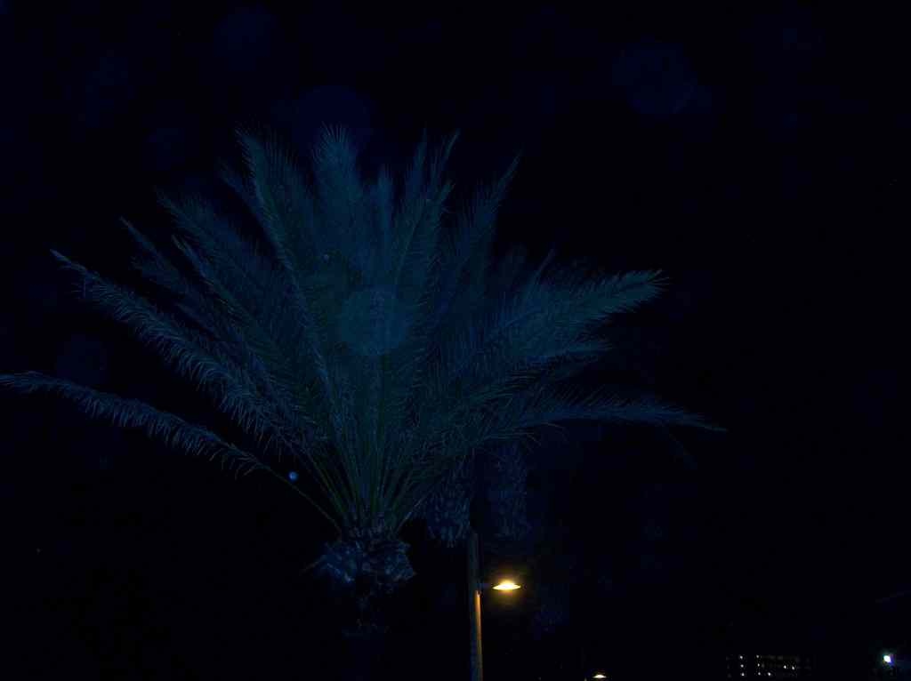 * Image 190