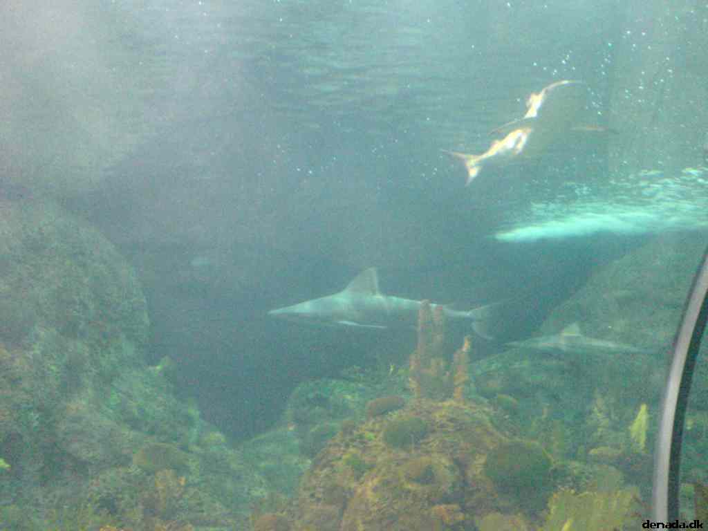 * Image 162
