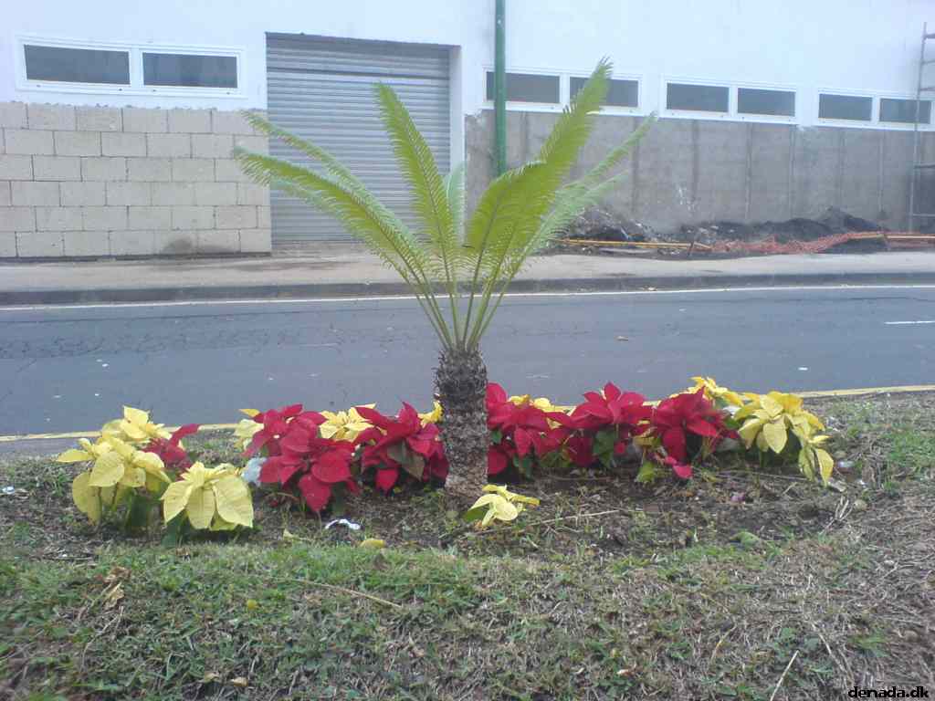 * Image 170