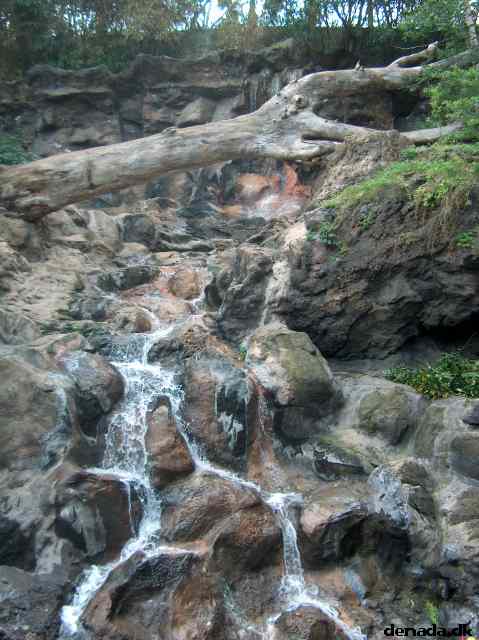 * Image 47