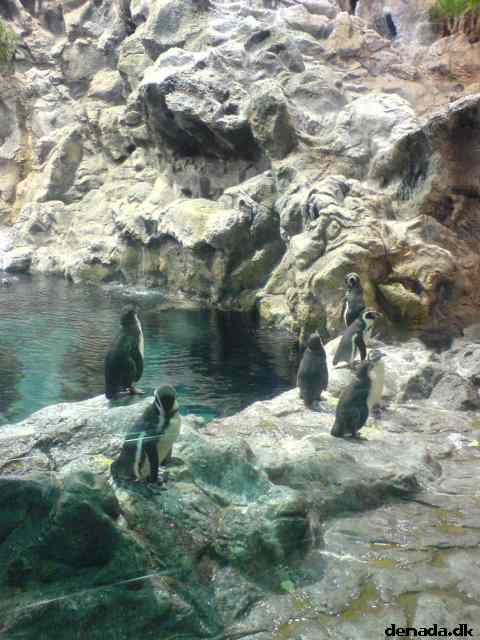 * Image 54