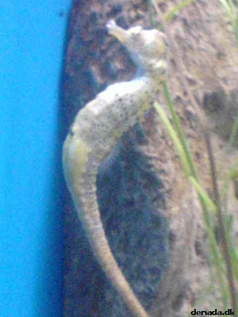 * Image 167