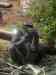 049.jpg - 2006:01:28 13:28:18