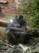 050.jpg - 2006:01:28 13:28:27