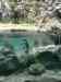 053.JPG - 2007:01:27 13:31:36