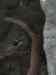 057.jpg - 2006:01:28 14:00:46