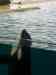 080.jpg - 2006:01:28 14:21:11