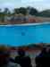 105.jpg - 2006:01:28 14:53:42