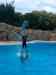 123.jpg - 2006:01:28 15:06:04