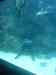 147.JPG - 2007:01:27 15:36:40