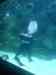 148.JPG - 2007:01:27 15:36:52