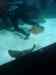 150.JPG - 2007:01:27 15:37:27