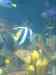 152.JPG - 2007:01:27 15:38:30