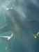 160.JPG - 2007:01:27 15:47:53