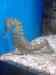 165.JPG - 2007:01:27 15:46:01