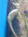 167.JPG - 2007:01:27 15:46:23