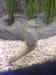 168.JPG - 2007:01:27 15:47:00