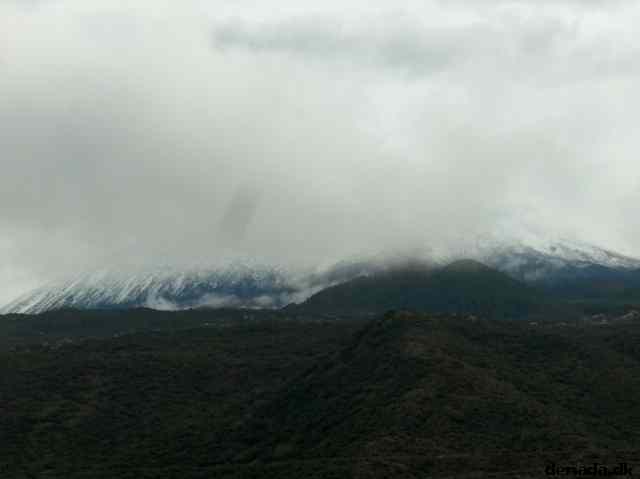 * Image 23