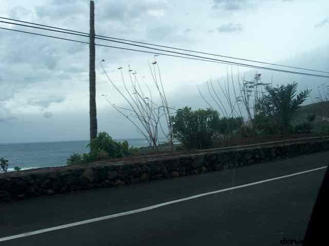 * Image 42
