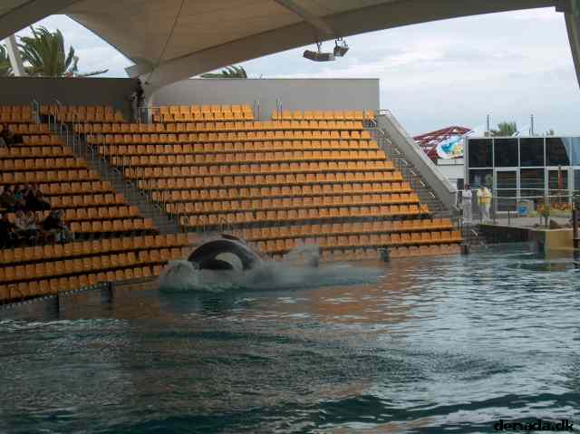 * Image 62