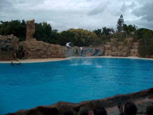 * Image 102