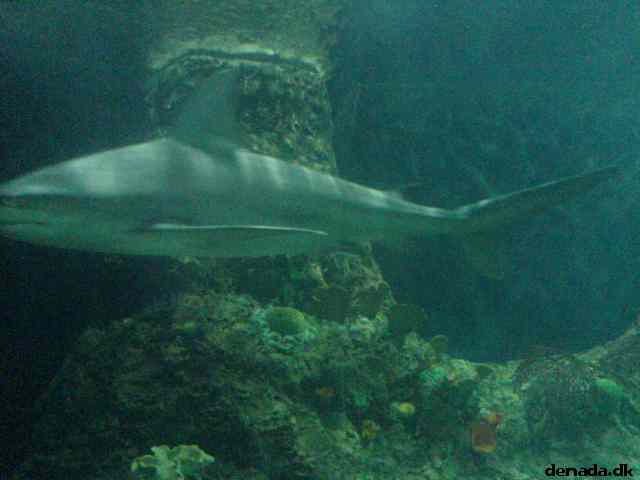 * Image 159