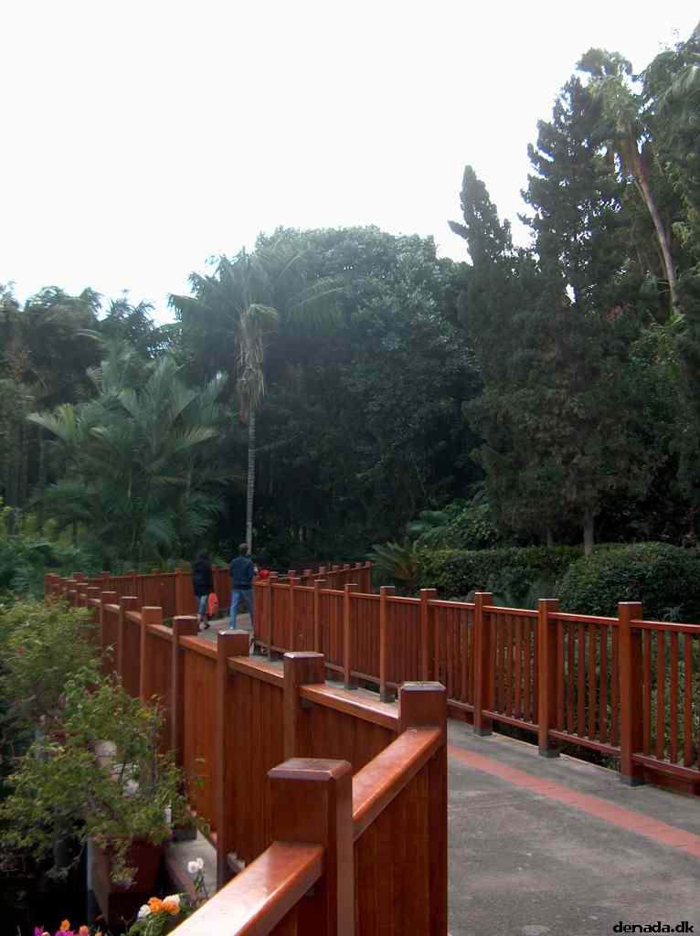 * Image 45
