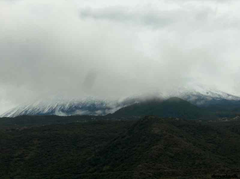* Image 23