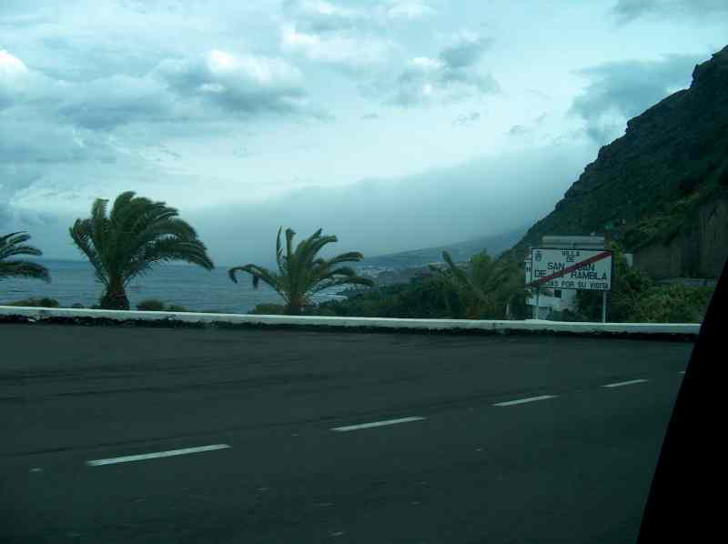 * Image 41
