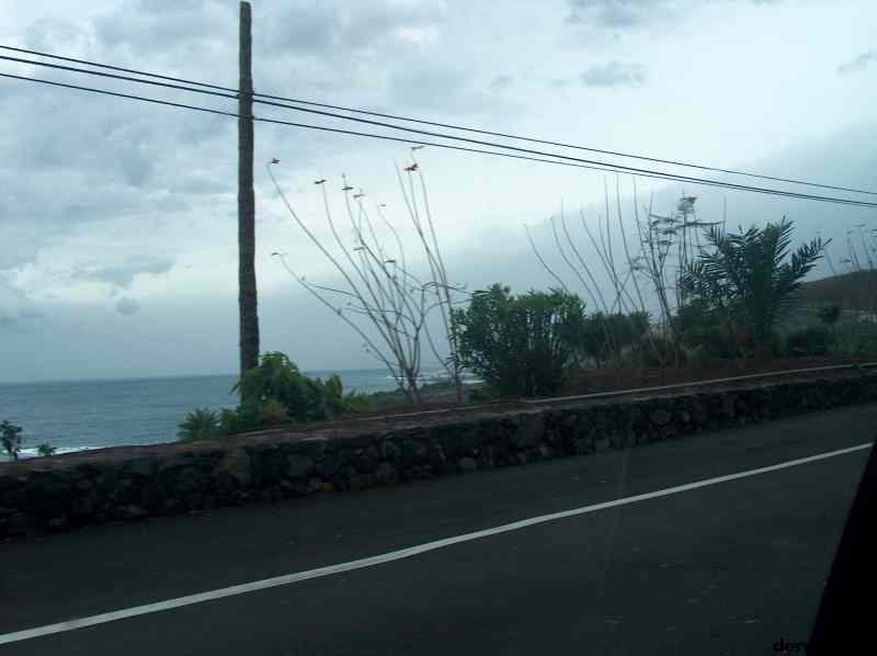 * Image 42