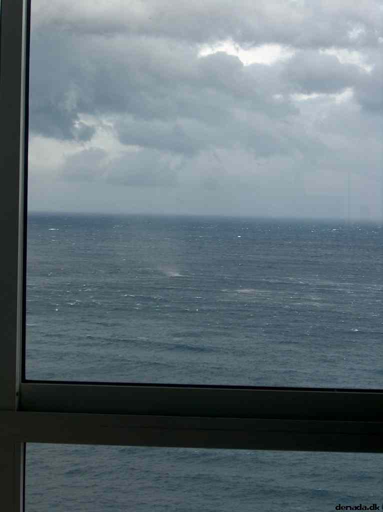 * Image 9