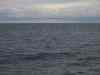 Billede_072.jpg - 2007:01:26 15:43:43