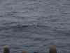 Billede_074.jpg - 2007:01:26 15:45:08