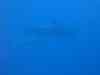 Billede_077.jpg - 2007:01:26 15:52:01
