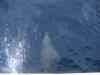 Billede_079.jpg - 2007:01:26 16:57:28