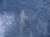 Billede_080.jpg - 2007:01:26 16:57:39