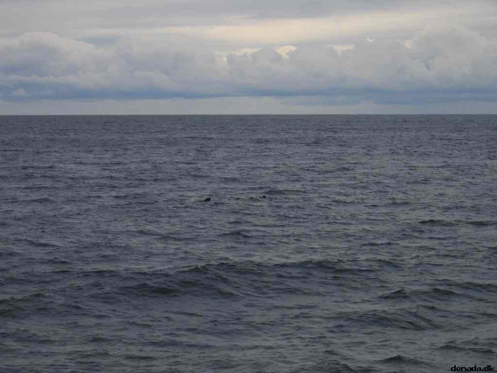 * Image 72